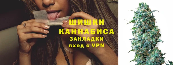 ECSTASY Ельня