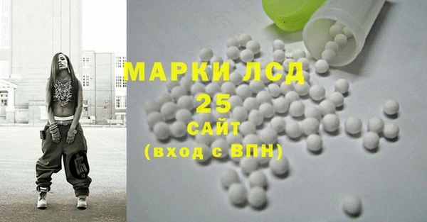 хмурый Пересвет