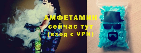 ECSTASY Ельня