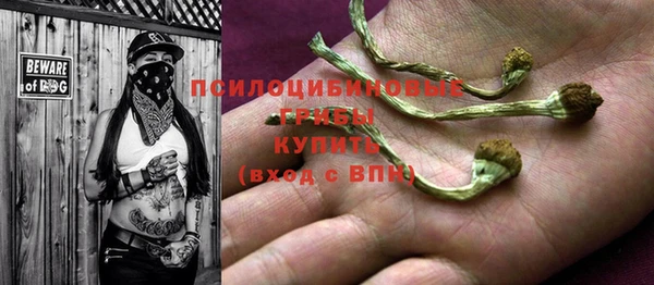 гидропоника Елизово