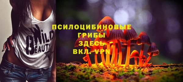 первитин Мещовск