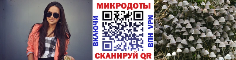 купить наркотик Протвино Галлюциногенные грибы ЛСД