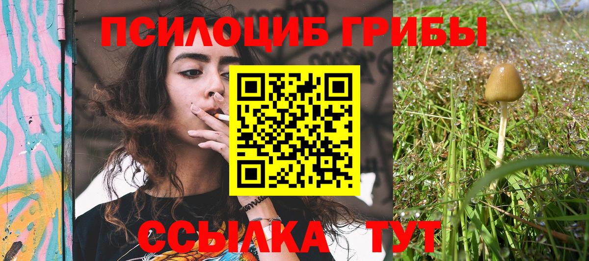 Галлюциногенные грибы прущие грибы Протвино