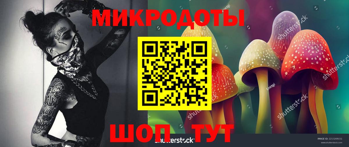 Псилоцибиновые грибы прущие грибы  Галлюциногенные грибы GOLDEN TEACHER  Протвино  Вход с VPN 