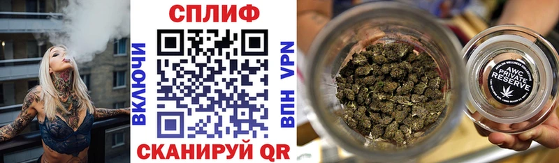 продажа наркотиков  Протвино  Канабис план 